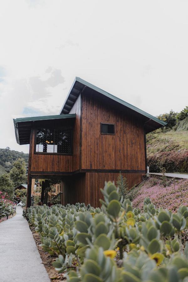 Lauraceas Lodge San Gerardo de Dota Luaran gambar