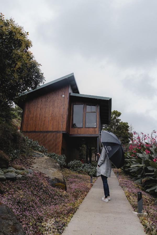 Lauraceas Lodge San Gerardo de Dota Luaran gambar
