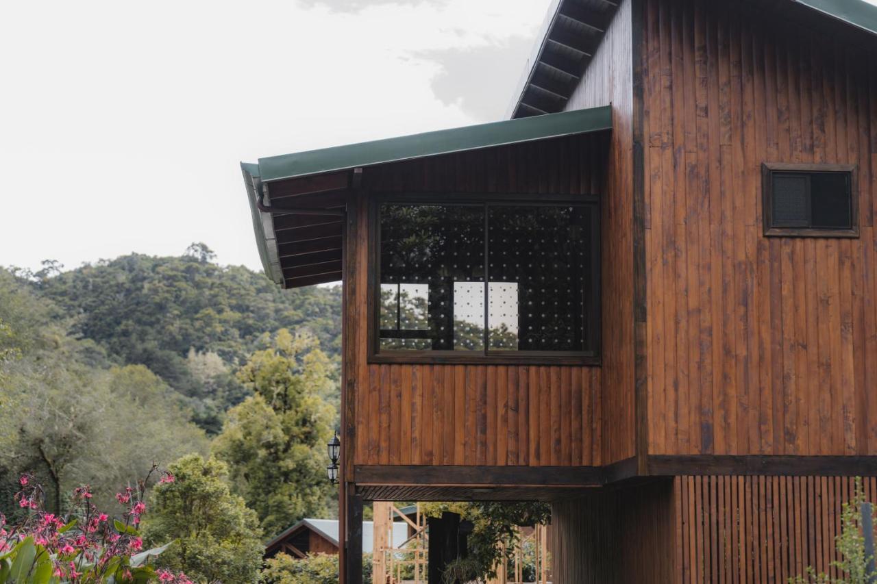 Lauraceas Lodge San Gerardo de Dota Luaran gambar